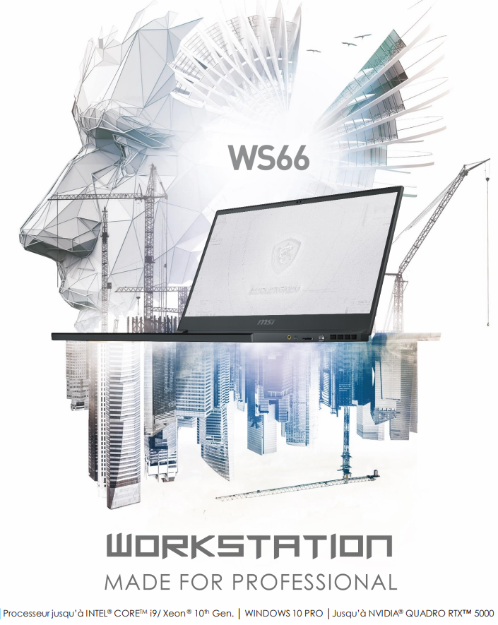 WS66