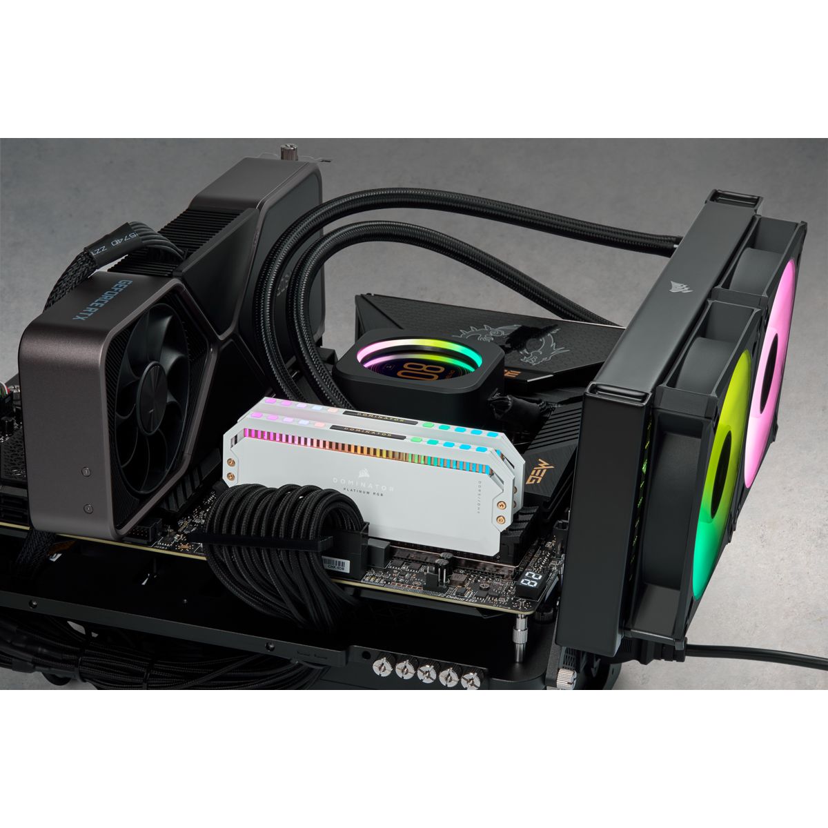 DOMINATOR 

PLATINUM RGB performance