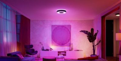 Philips Hue Plafonnier Infuse M Hue Noir Lumiere colorees