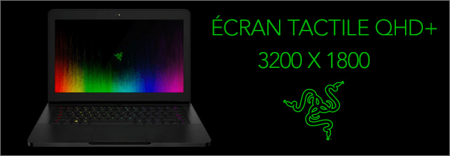 Ecran QHD+