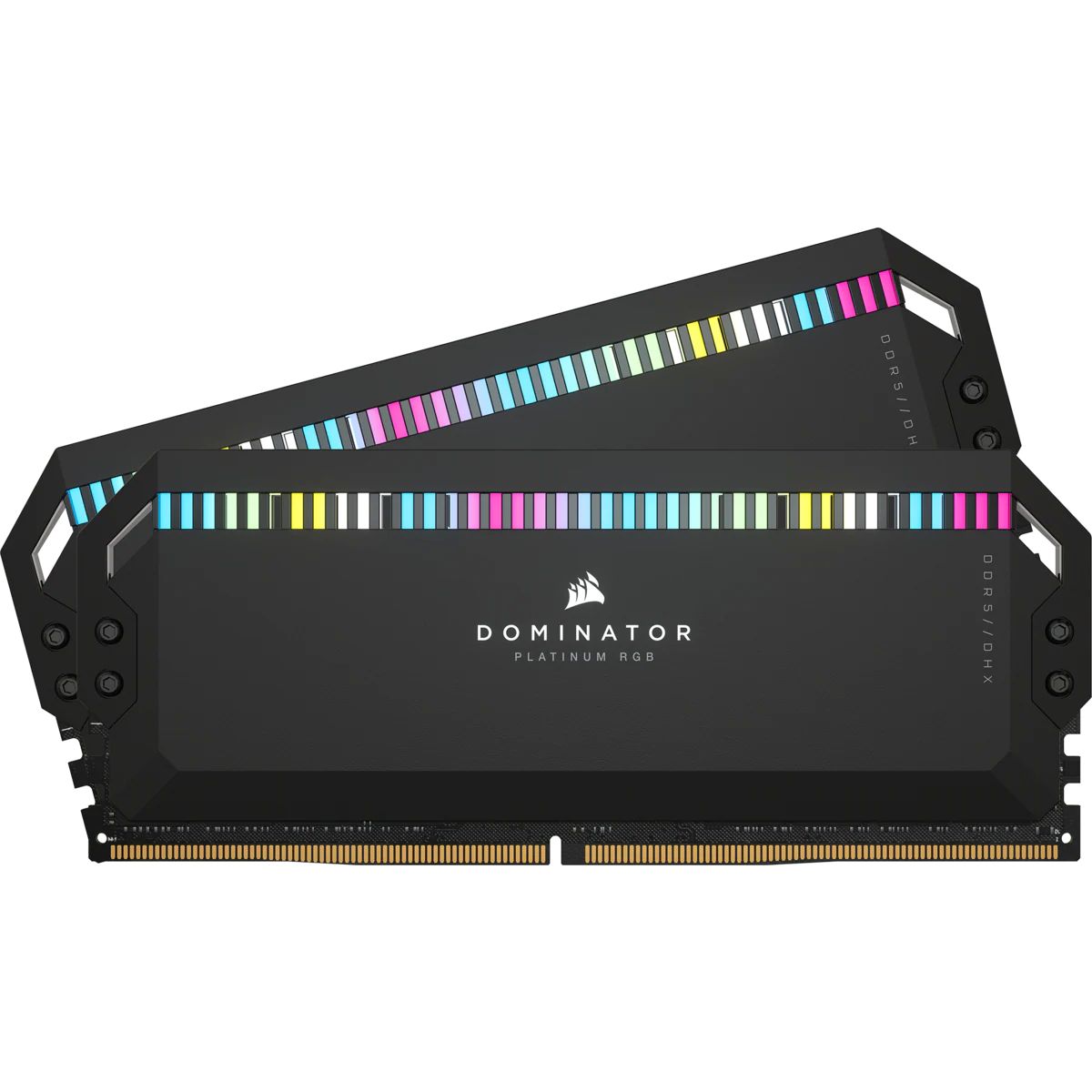 dominator platinum rgb 2x16go ddr5 5600 mhz