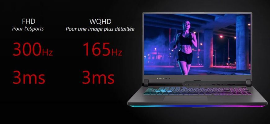 ROG STRIX-G17-G713QR-K4088
