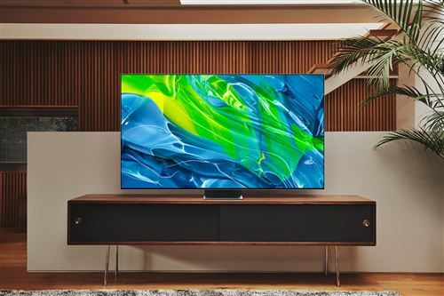 tv-samsung-oled-qe55s95b-4k-uhd-55-smart-tv-argent-4-3513226