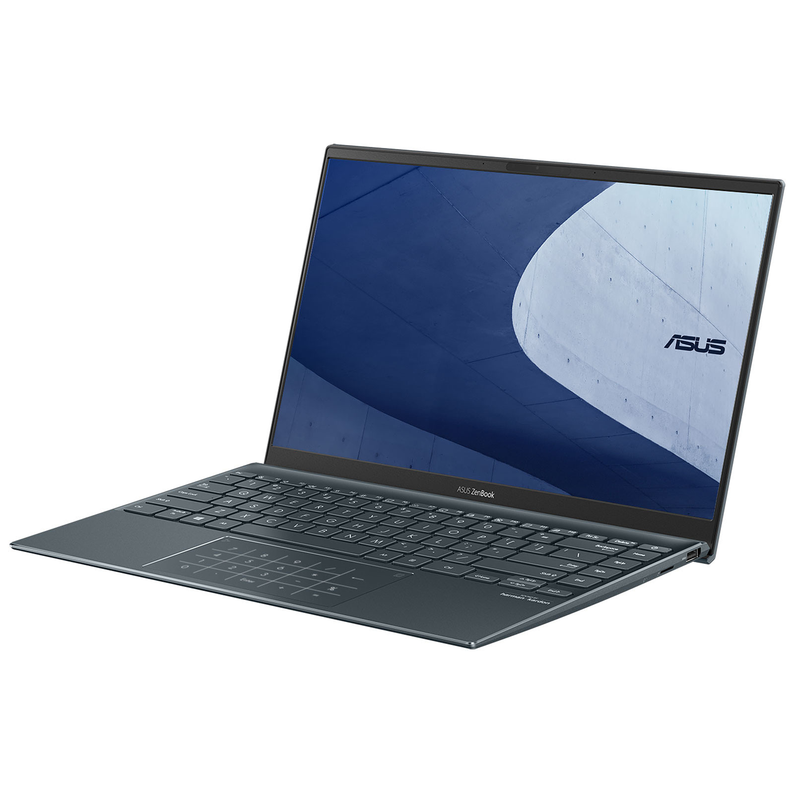 Ordinateur portable ASUS Zenbook 14 UM425QA-KI194W