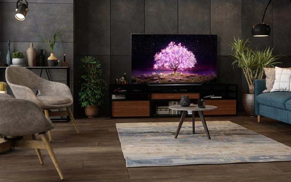 TV OLED 55