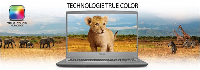 MSI - Ecran Full HD