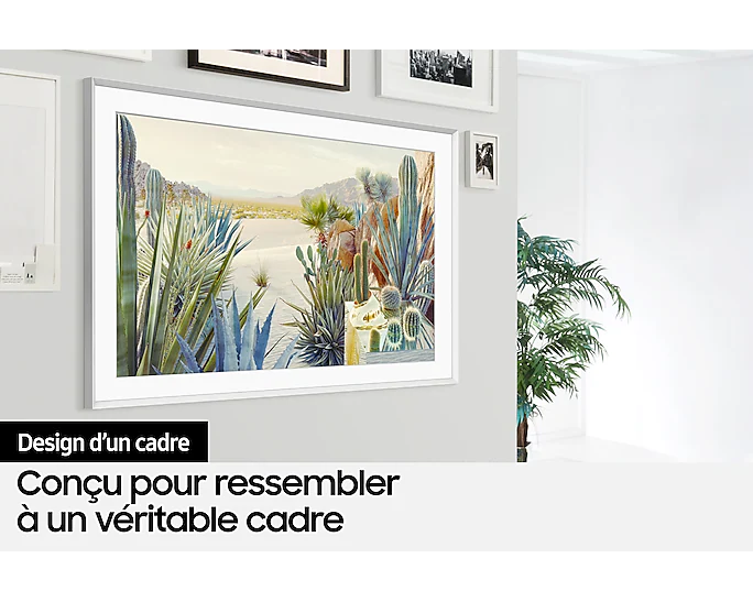 Samsung 43 Pouces