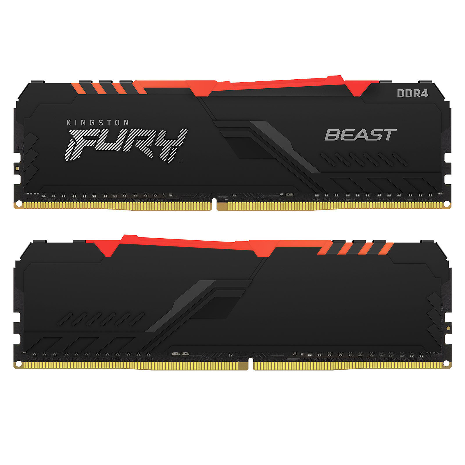  FURY Beast mémoire 