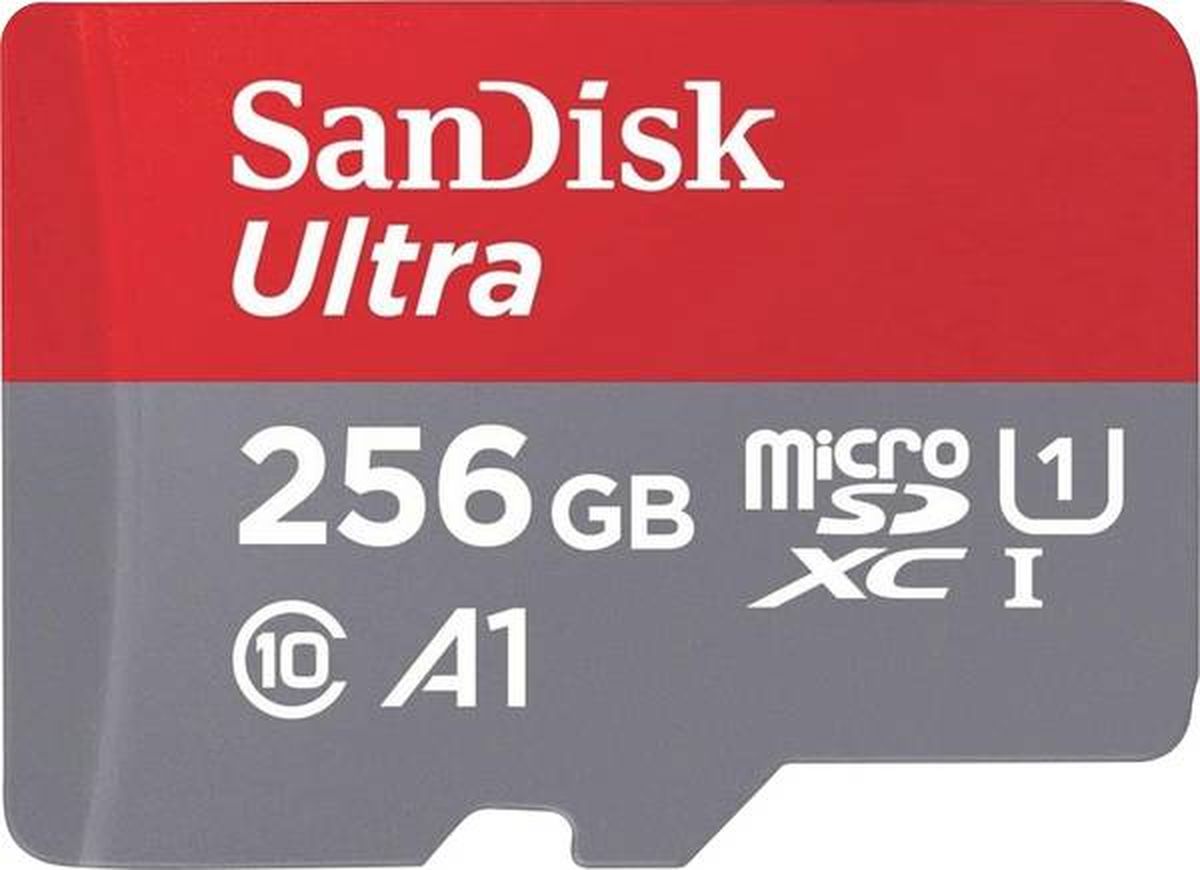 Ultra micro SDHC - 256 Go