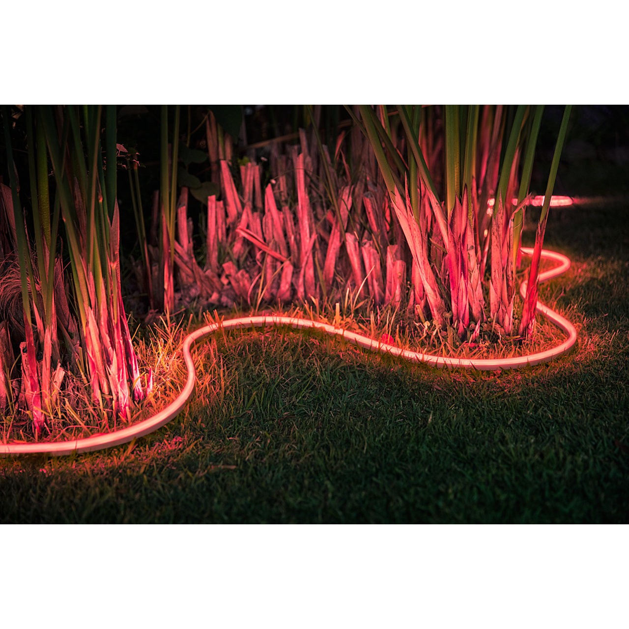 White ans Color Ambiance Outdoor Lightstrip 5m