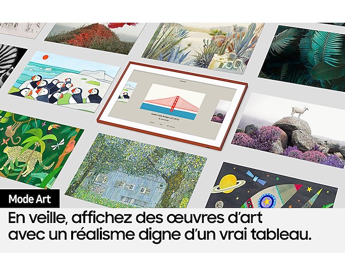 Samsung 43 Pouces