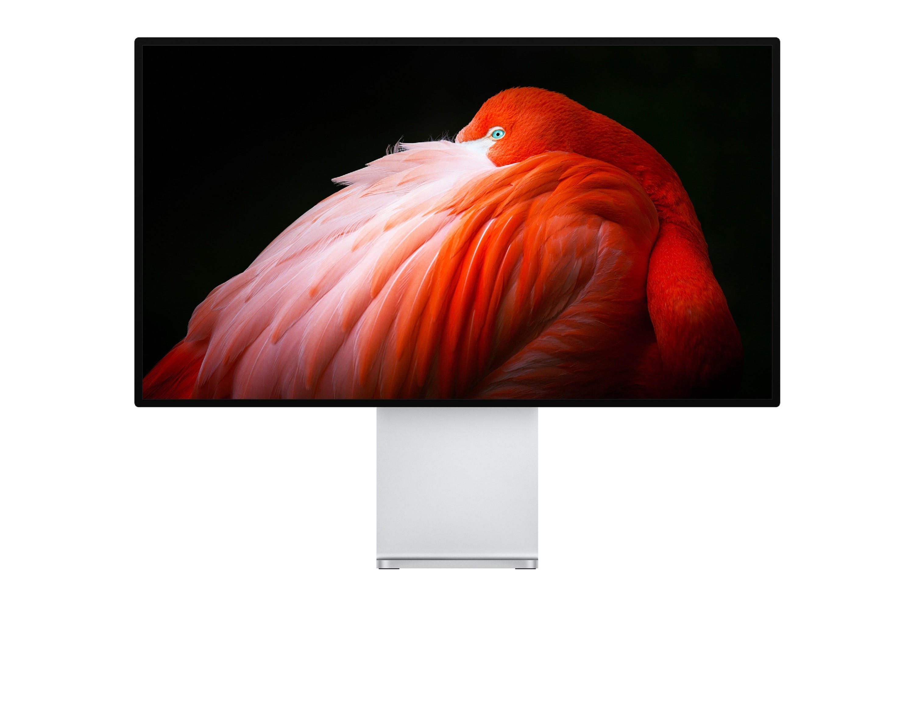 32'' LED Pro Display XDR - Standard Glass