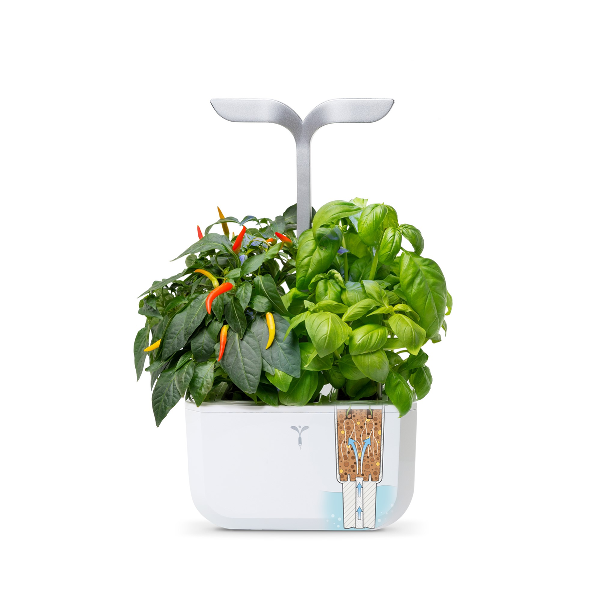 Potager d'intérieur Véritable® Exky® SMART Arctic White