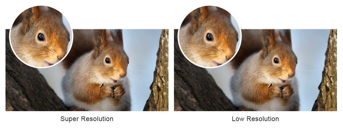 10896293658654.jpg [MS-15481123719086096-0086294364-FR]/Catalogue produits RDC et GM / Online