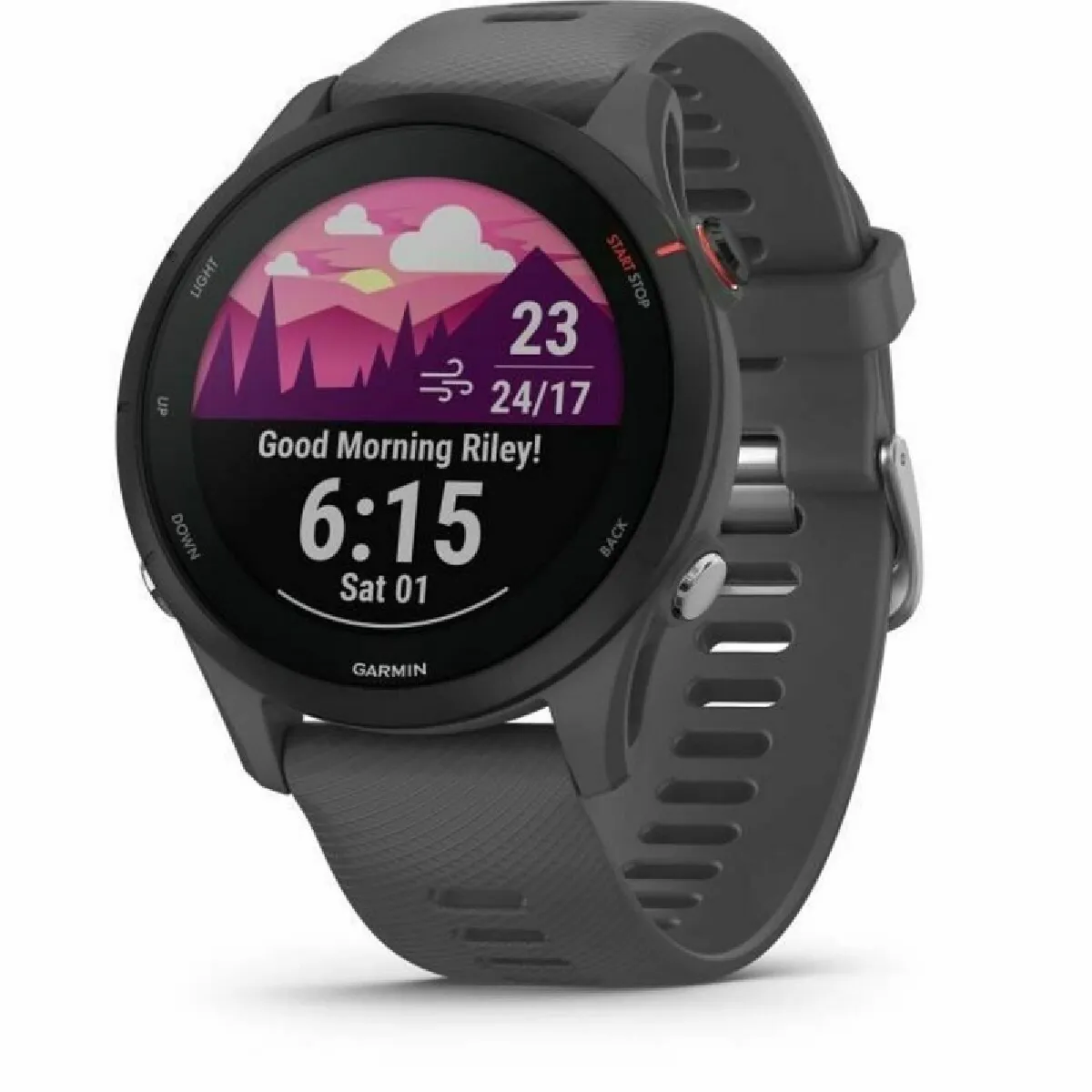 montre-intelligente-garmin-forerunner-255-noir-gris-1-3-ø-46-mm-0753759279875