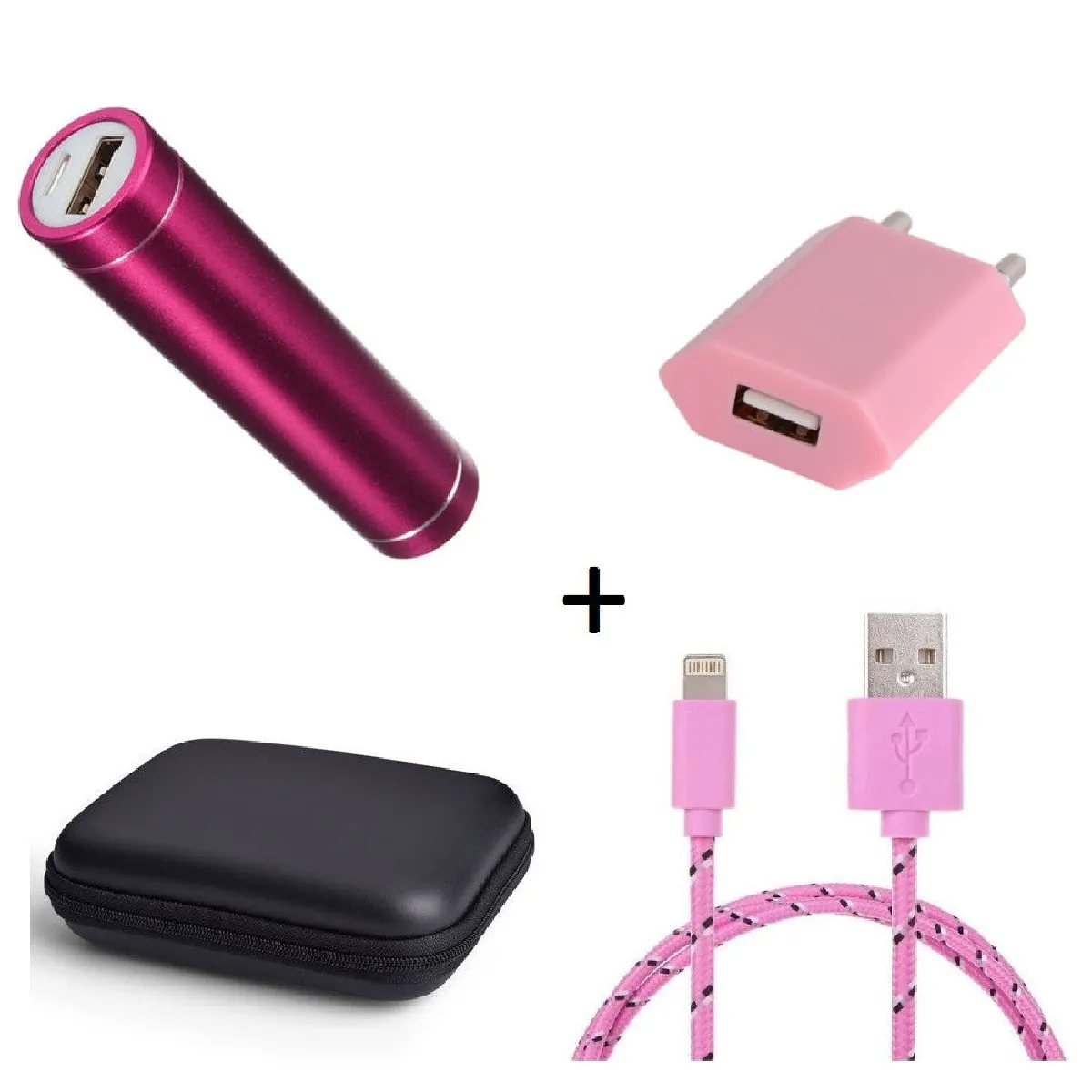 Pack pour Airpods (Cable Chargeur Lightning Tresse 3m + Pochette + Batterie + Prise Secteur) APPLE