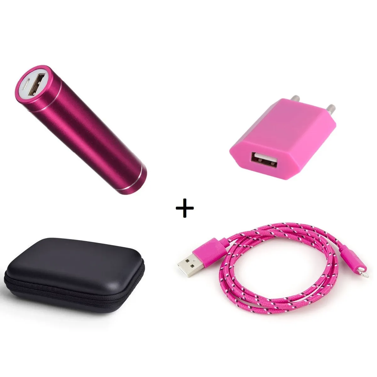 Pack pour Airpods (Cable Chargeur Lightning Tresse 3m + Pochette + Batterie + Prise Secteur) APPLE