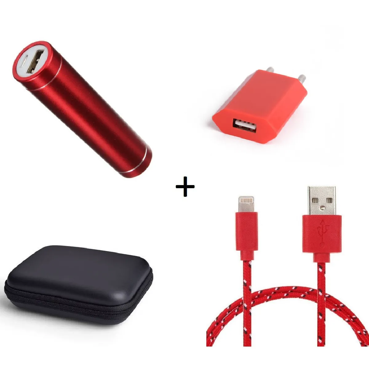 Pack pour Airpods (Cable Chargeur Lightning Tresse 3m + Pochette + Batterie + Prise Secteur) APPLE