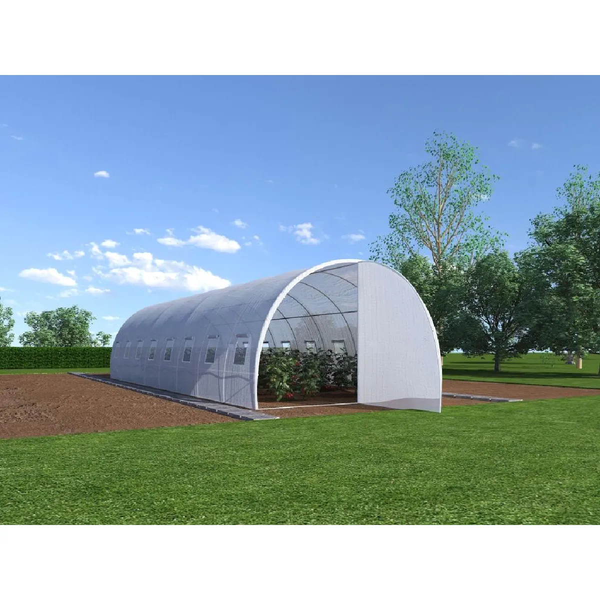 Serre tunnel avec structure en acier et porte 24 m² - L300 x l800 x H200 cm - ALOCASIA