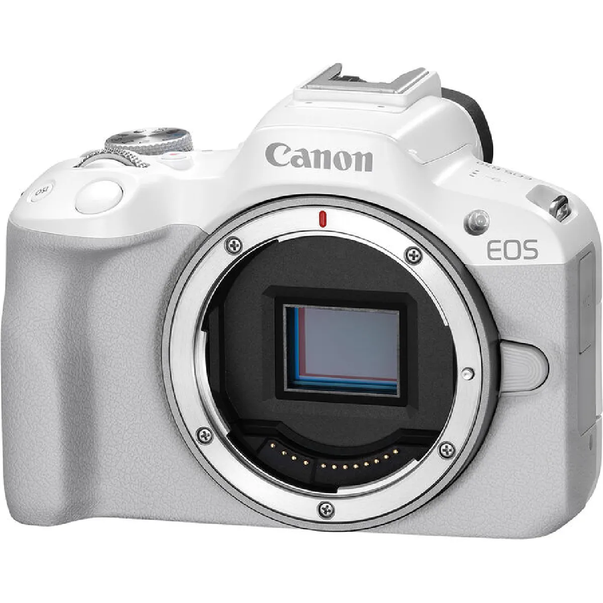 Canon EOS R50 (blanc) Appareil photo sans miroir Canon EOS R50 (blanc)