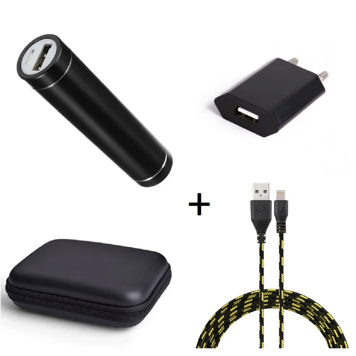 Pack pour Airpods (Cable Chargeur Lightning Tresse 3m + Pochette + Batterie + Prise Secteur) APPLE