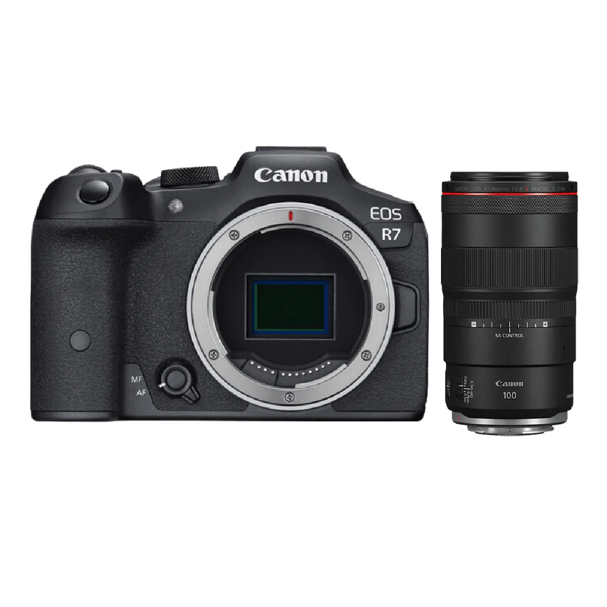 canon-eos-r7-rf-100mm-f2-8-l-macro-is-usm-0603765653575