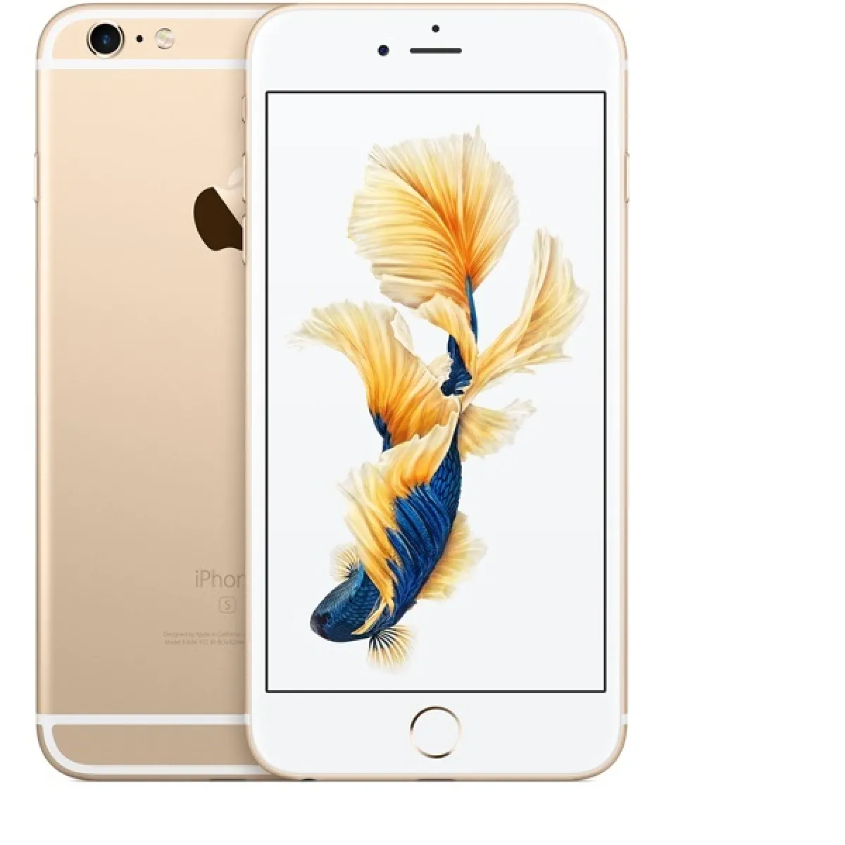 iPhone 6S 64 Go Or Débloqué