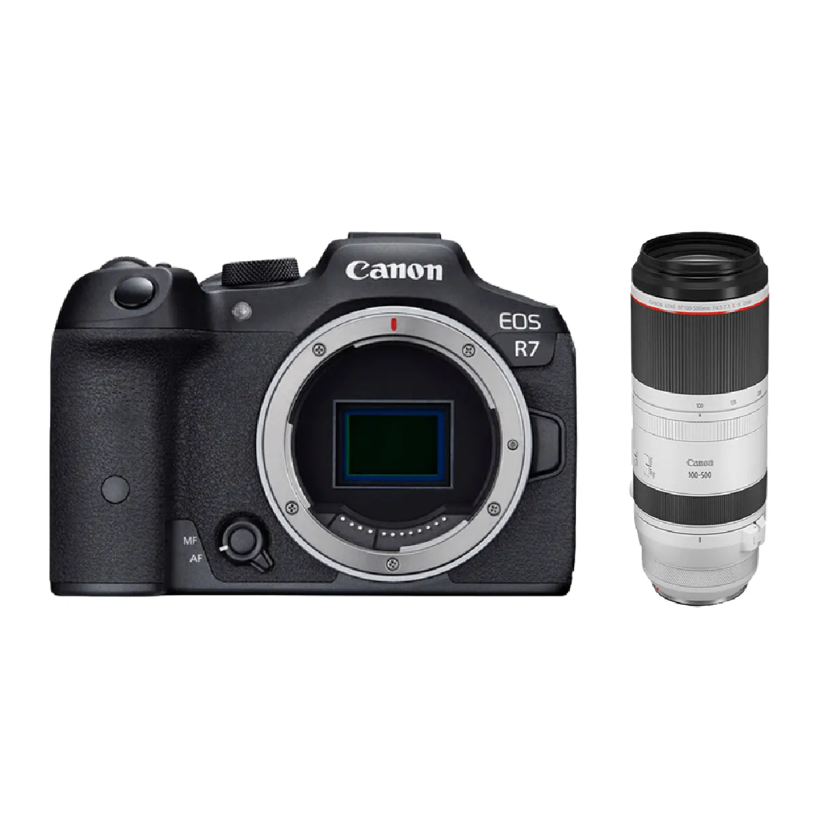 Canon EOS R7 + RF 100-500mm F4.5-7.1 L IS USM