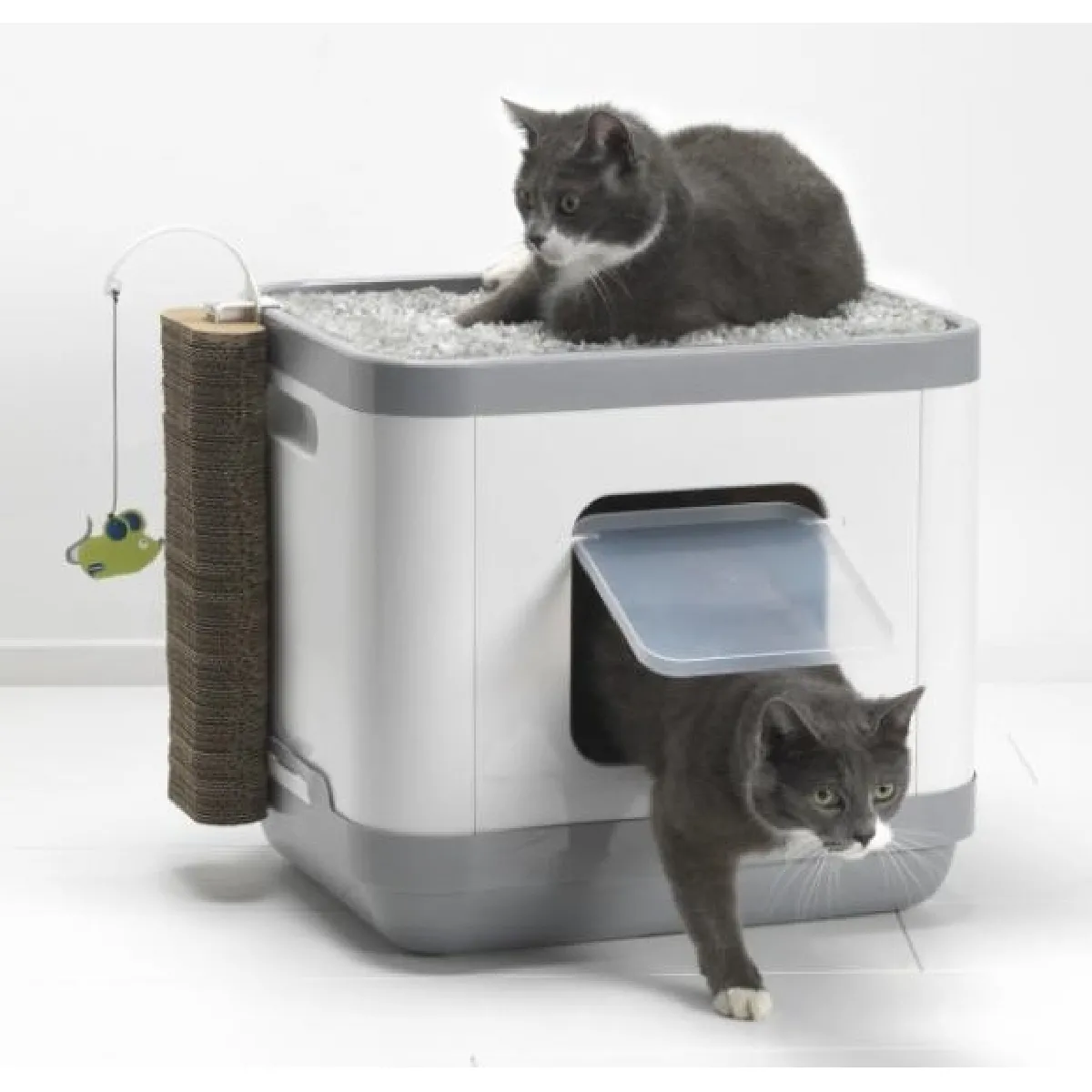 MAISON DE TOILETTE CHAT LE CUBE