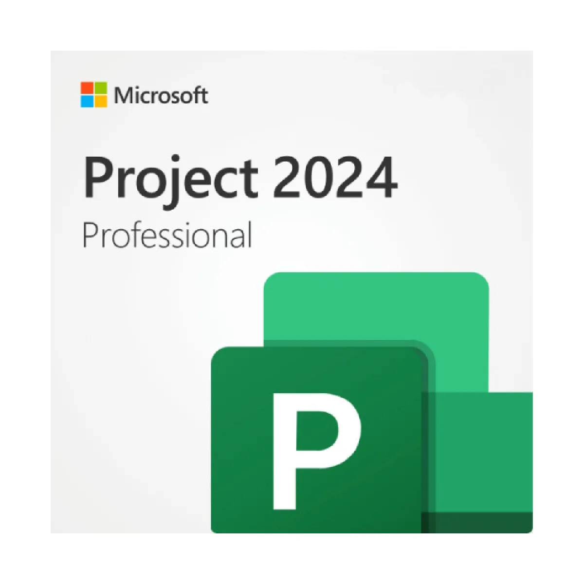 Microsoft Project 2024 Professionnel (clé bind ) - Clé licence à télécharger - Livraison rapide 7/7j