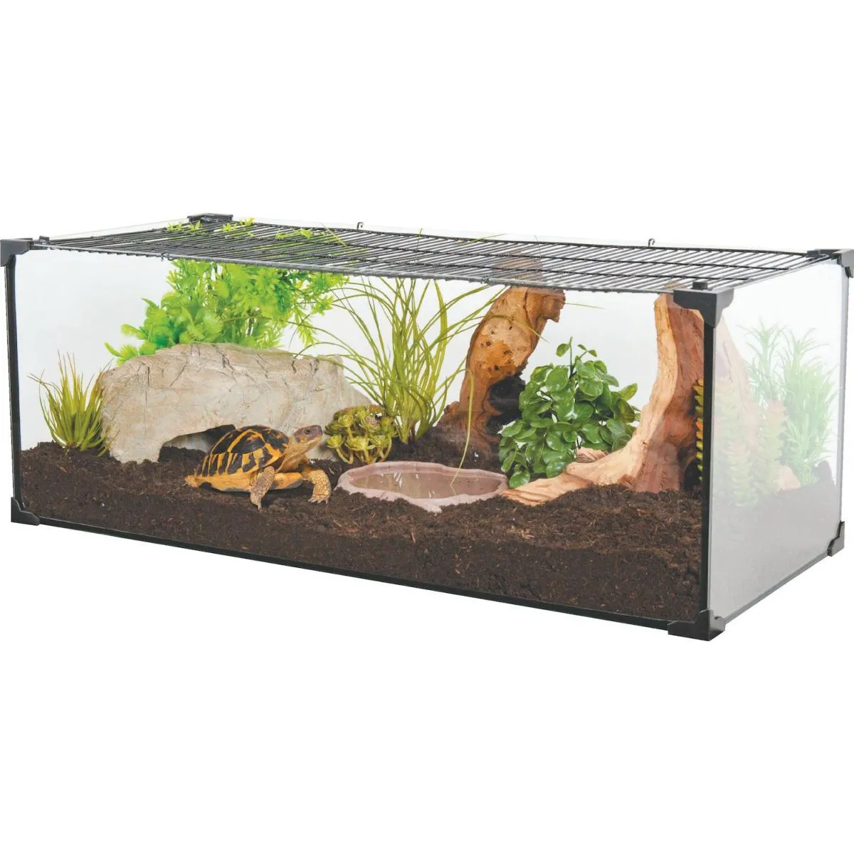 Kit terrarium tortue terrestre Karapas Pro.