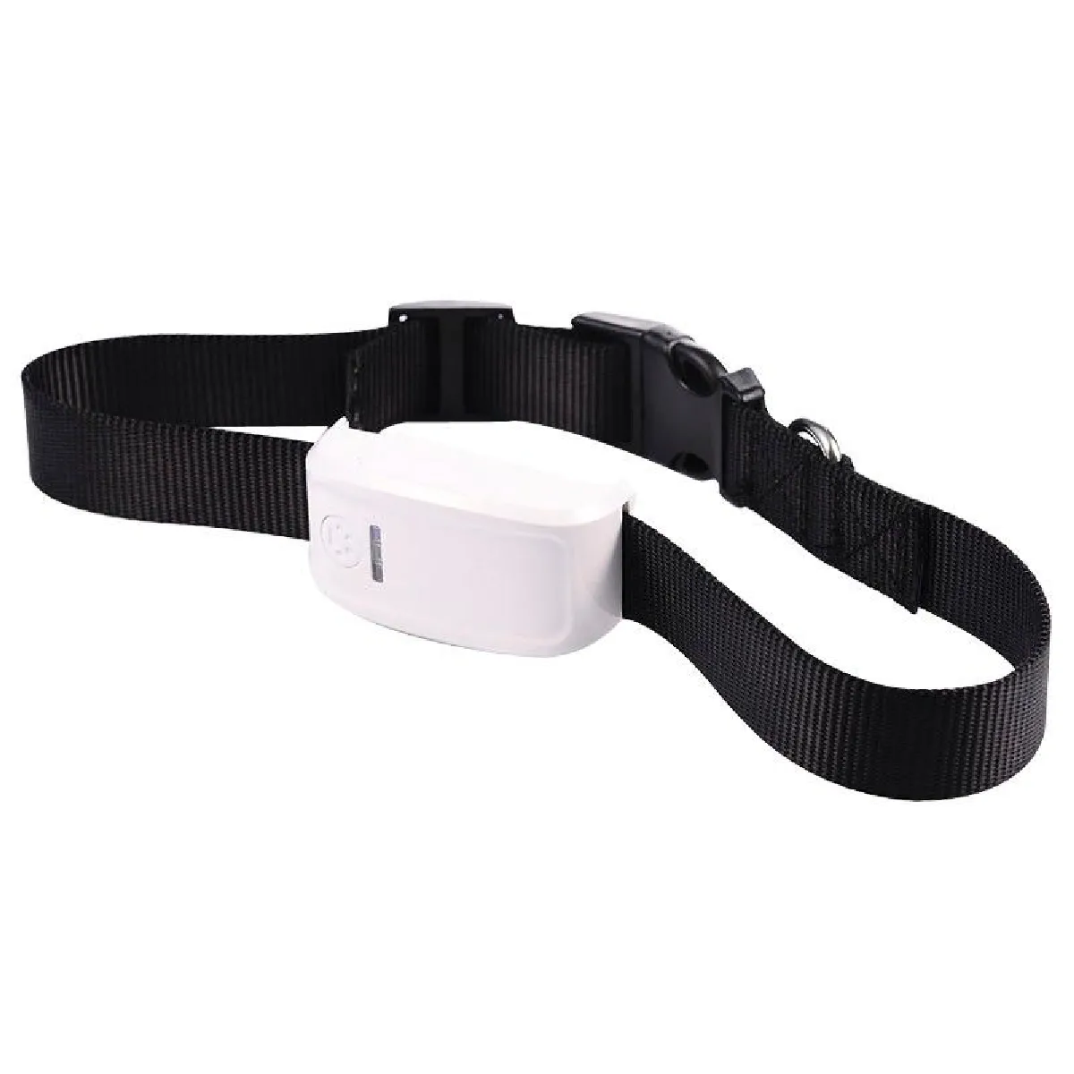 Collier Traceur GPS chien chat