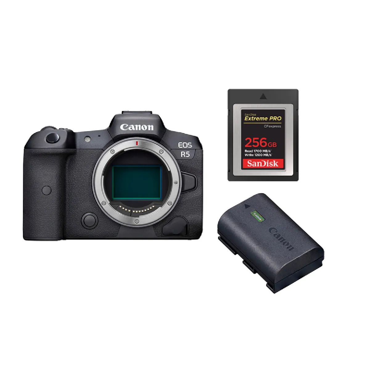 canon-eos-r5-body-sandisk-256gb-extreme-pro-cf-cfexpress-card-type-b-batterie-lp-e6nh-0603765654008