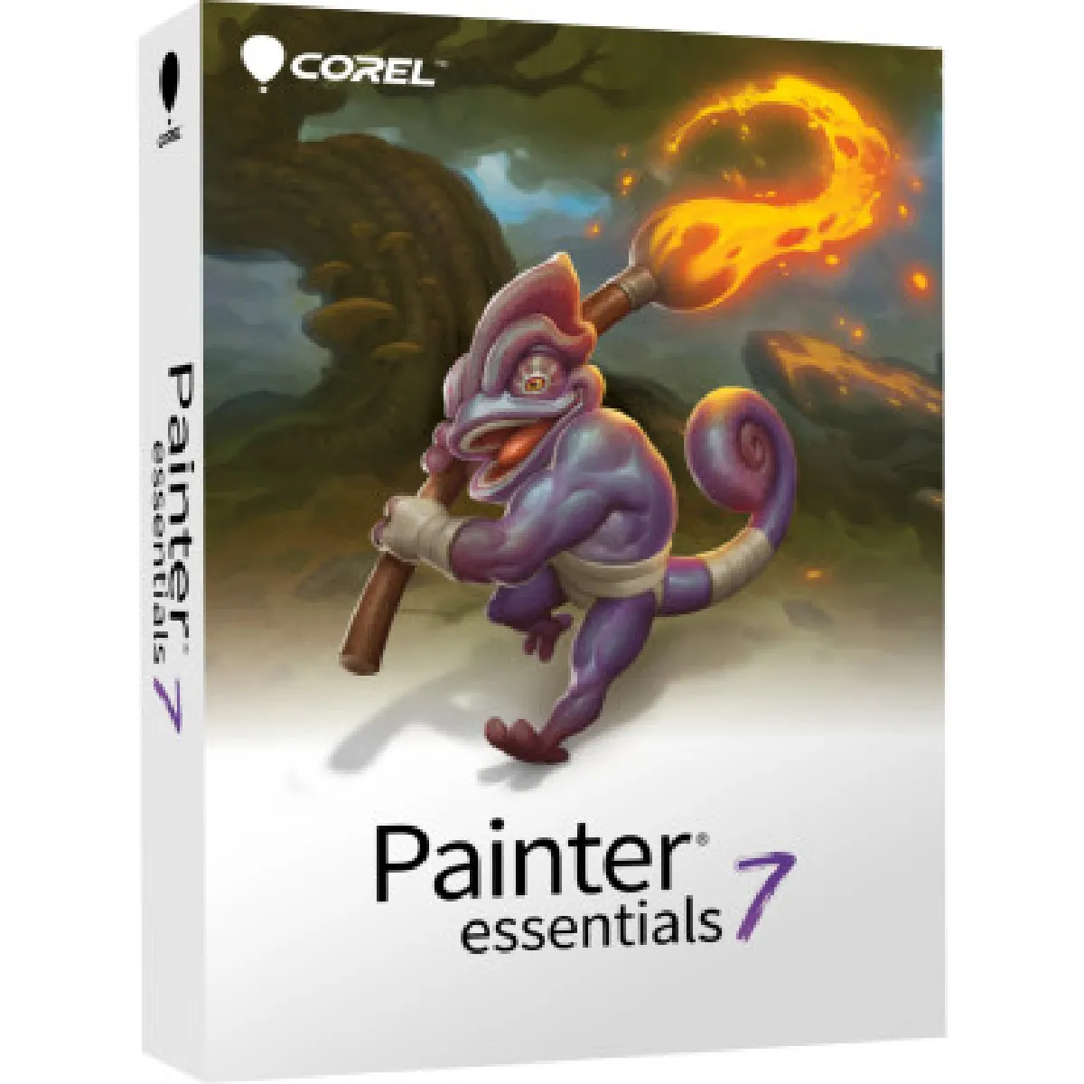 Painter Essentials 7 - Licence Perpétuelle - 1 poste