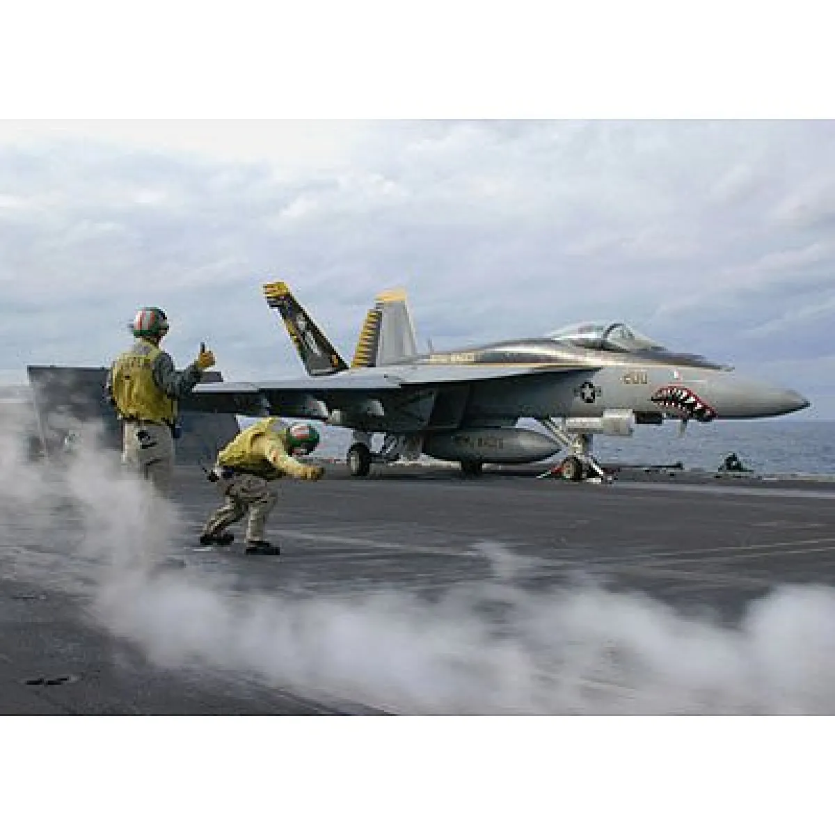 Maquette avion : F/A-18E Super Hornet