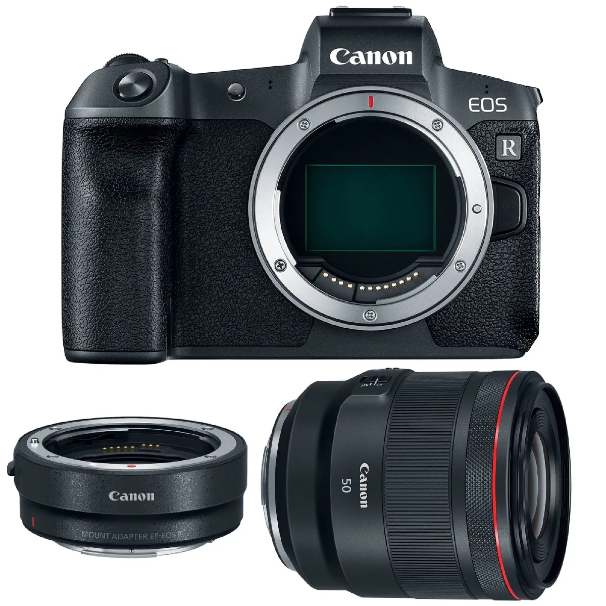 CANON EOS R + RF 50mm F1.2L USM + EF-EOS R Mount Adapter