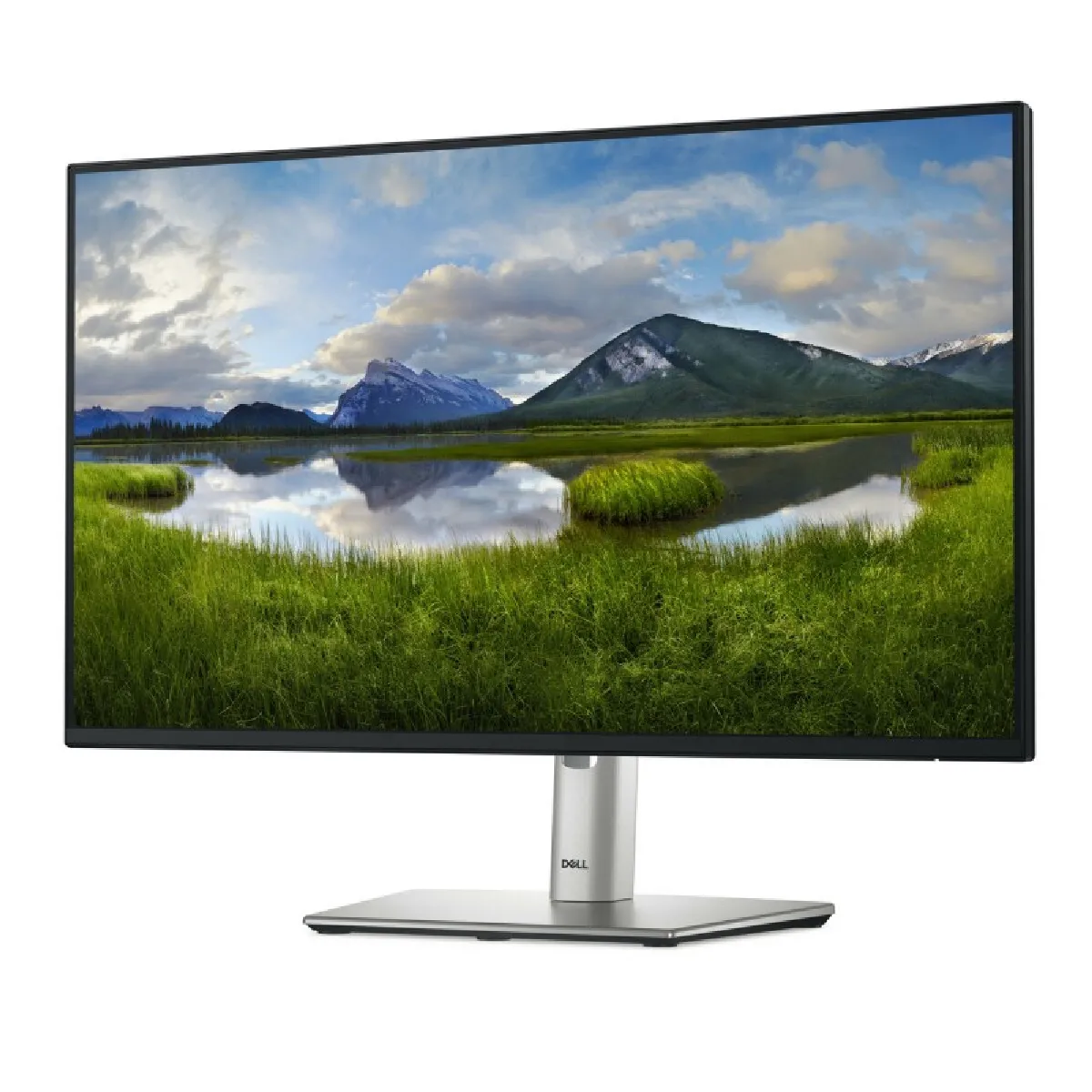 Écran Dell P2425H 23,8 Full HD 100 Hz