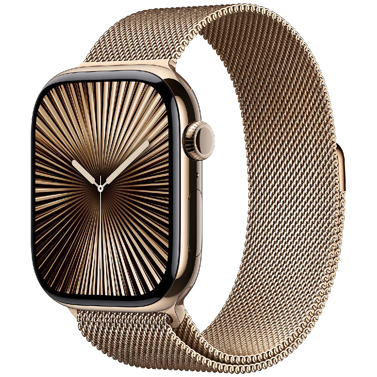 apple-watch-series-10-titane-rue-du-commerce-r24107792874