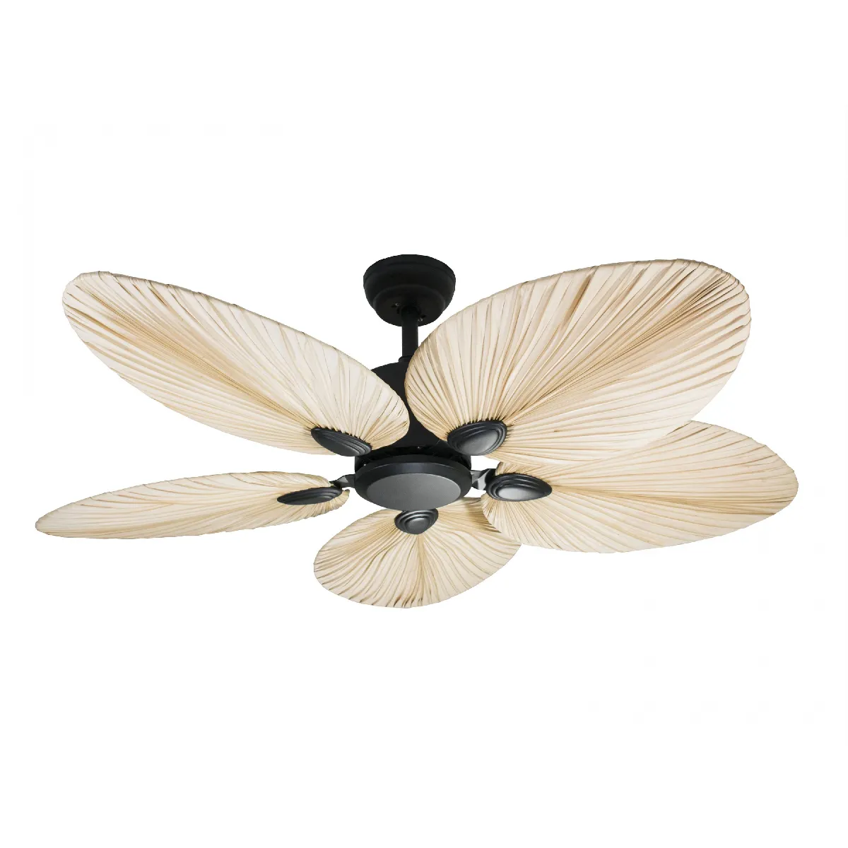 Ventilateur de plafond AC noir avec pales de 132cm pour 30m2