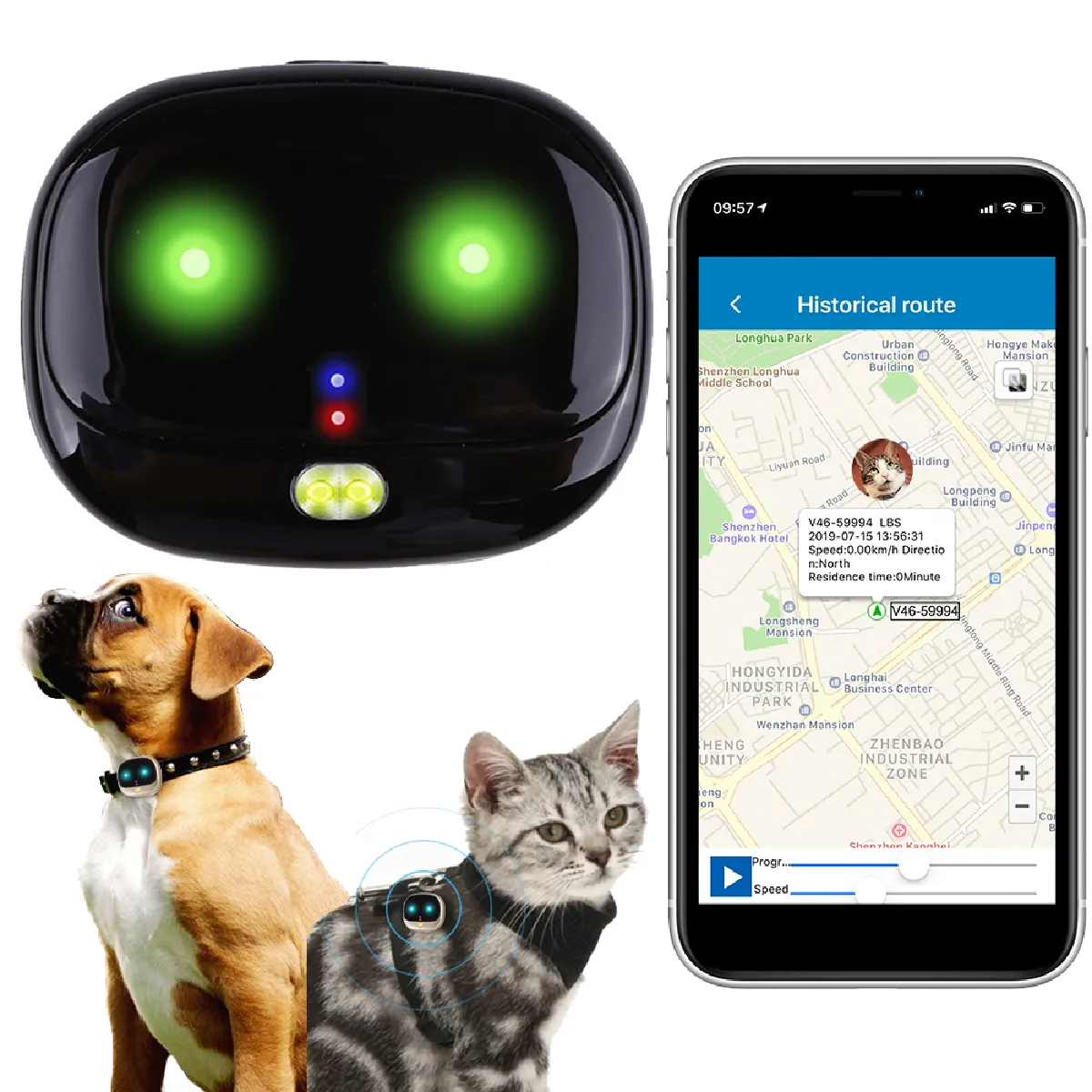 Traceur GPS 4G Chien Chat