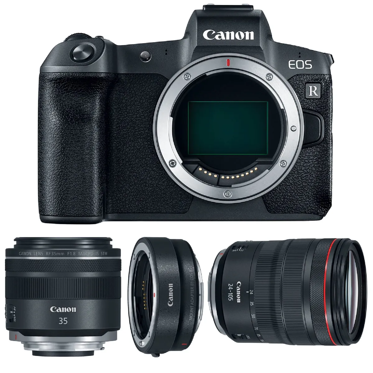 CANON EOS R + RF 24-105mm F4L IS USM + RF 35mm F1.8 IS Macro STM + EF-EOS R Mount Adapter