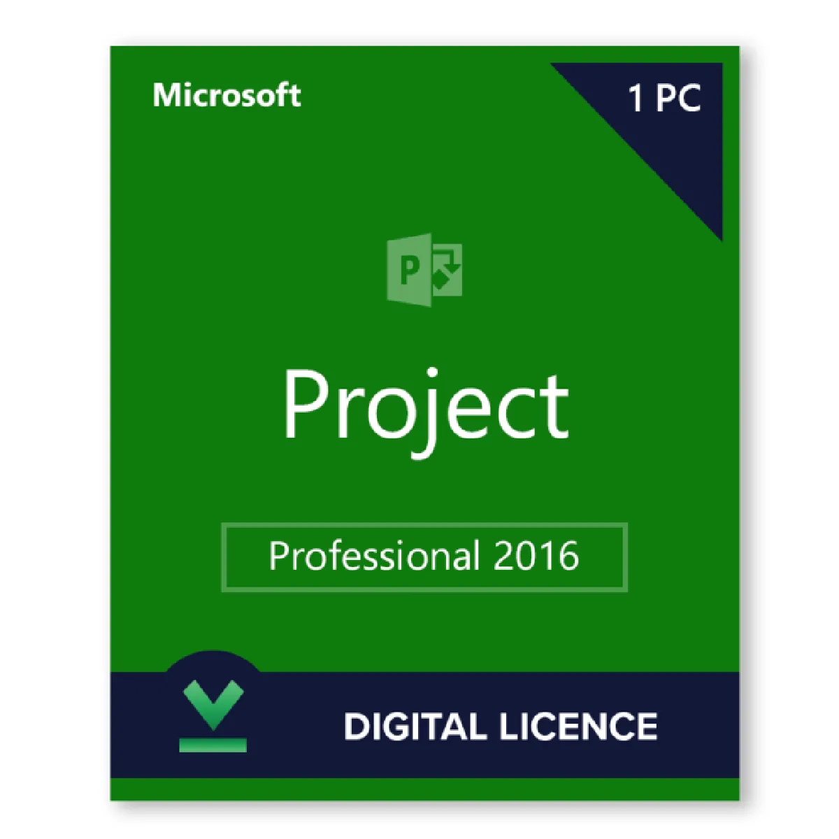 Project 2016 Professionnel - Licence numérique - Logiciel en téléchargement