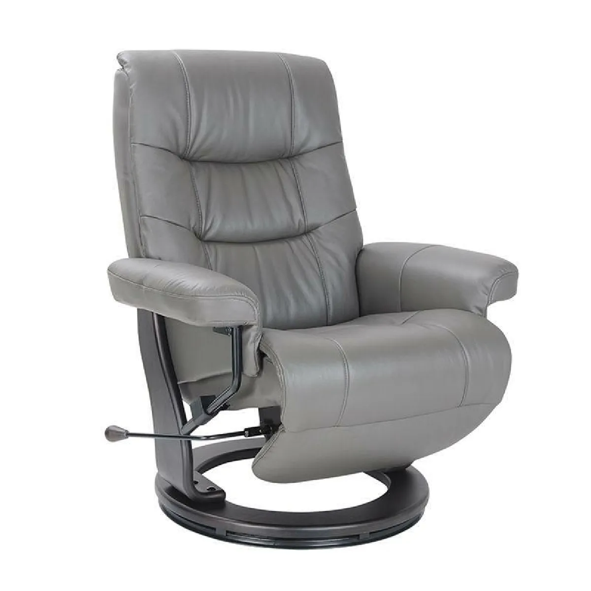 MAX - Fauteuil de Relaxation Manuel Design en Cuir Anthracite