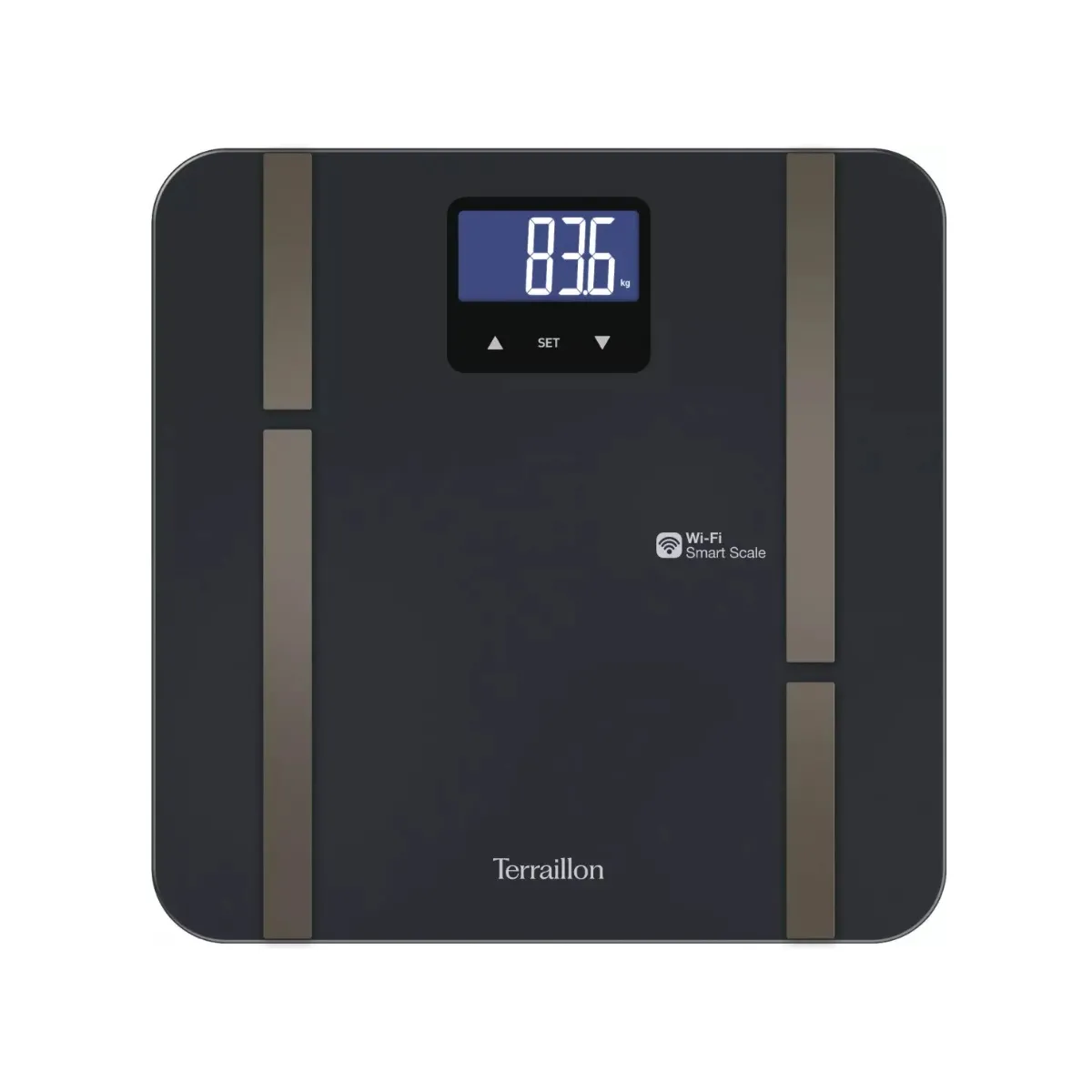 Impédancemètre connecté 180kg 100g - MASTERFITULTRA/N - TERRAILLON