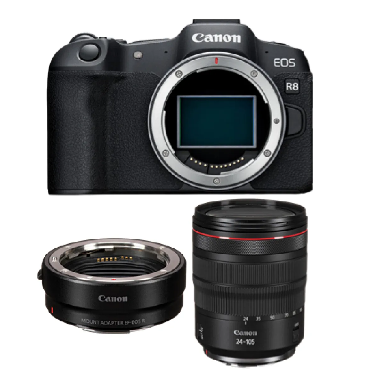 Canon EOS R8 Boîtier + EF-EOS R+ RF 24-105 mm f4L IS USM