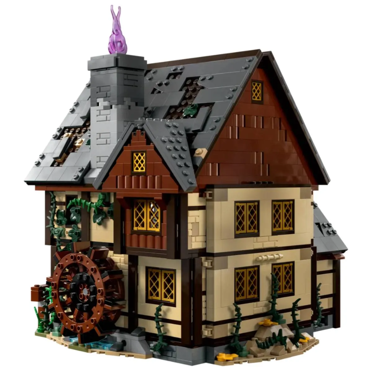 Lego 21341 Hocus Pocus Le Manoir des Sœurs Sanderson Multicolore