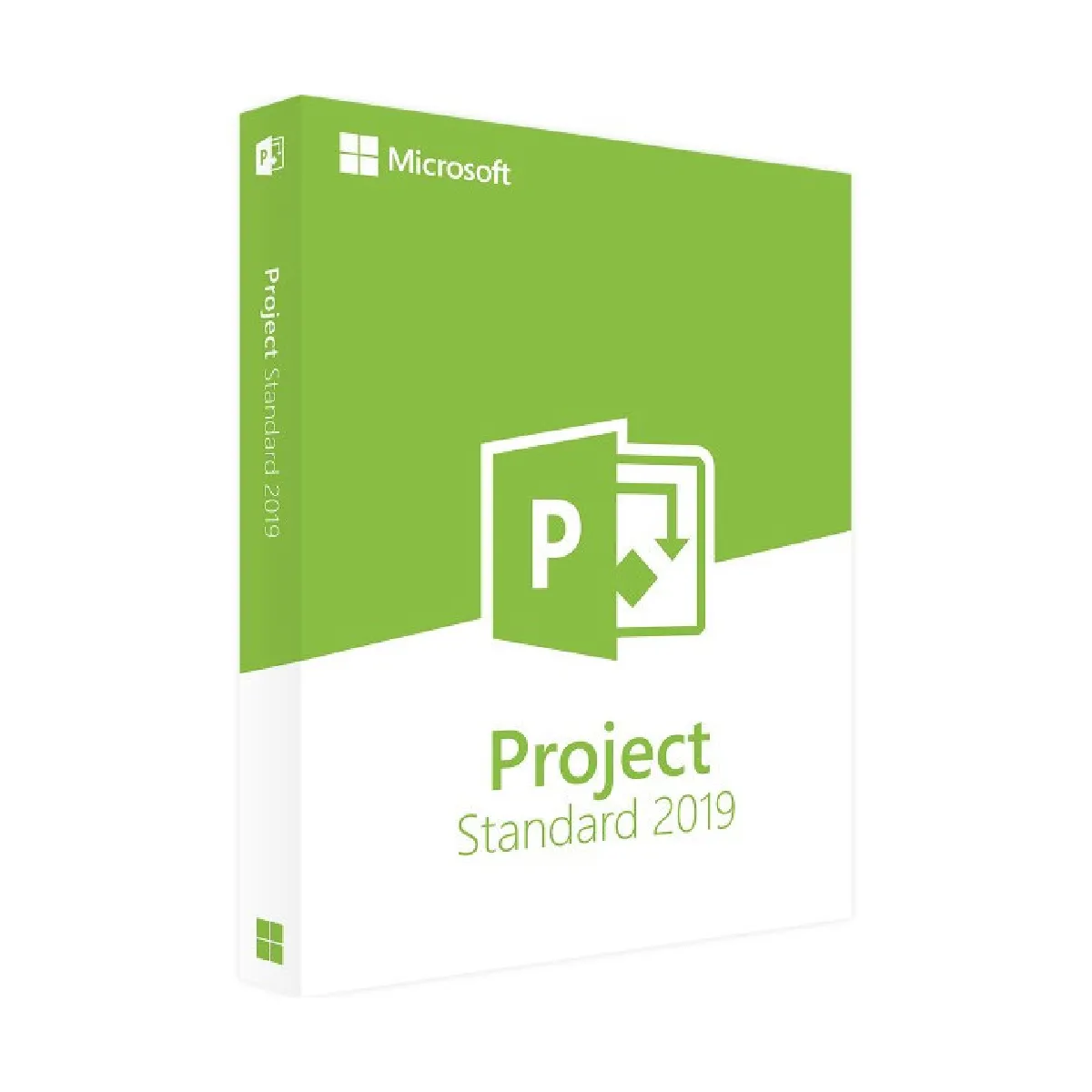 Microsoft Project 2019 Standard - Clé licence à télécharger - Livraison rapide 7/7j