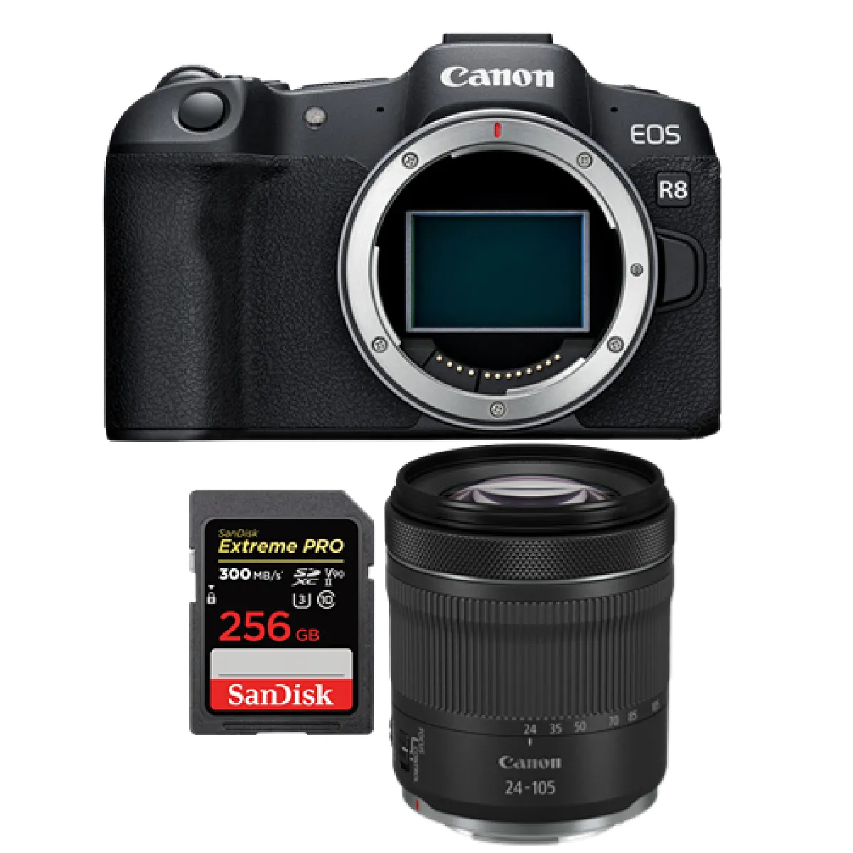 canon-eos-r8-boitier-rf-24-105-mm-f4-7-1-is-stm-sandisk-256-go-0603765651625