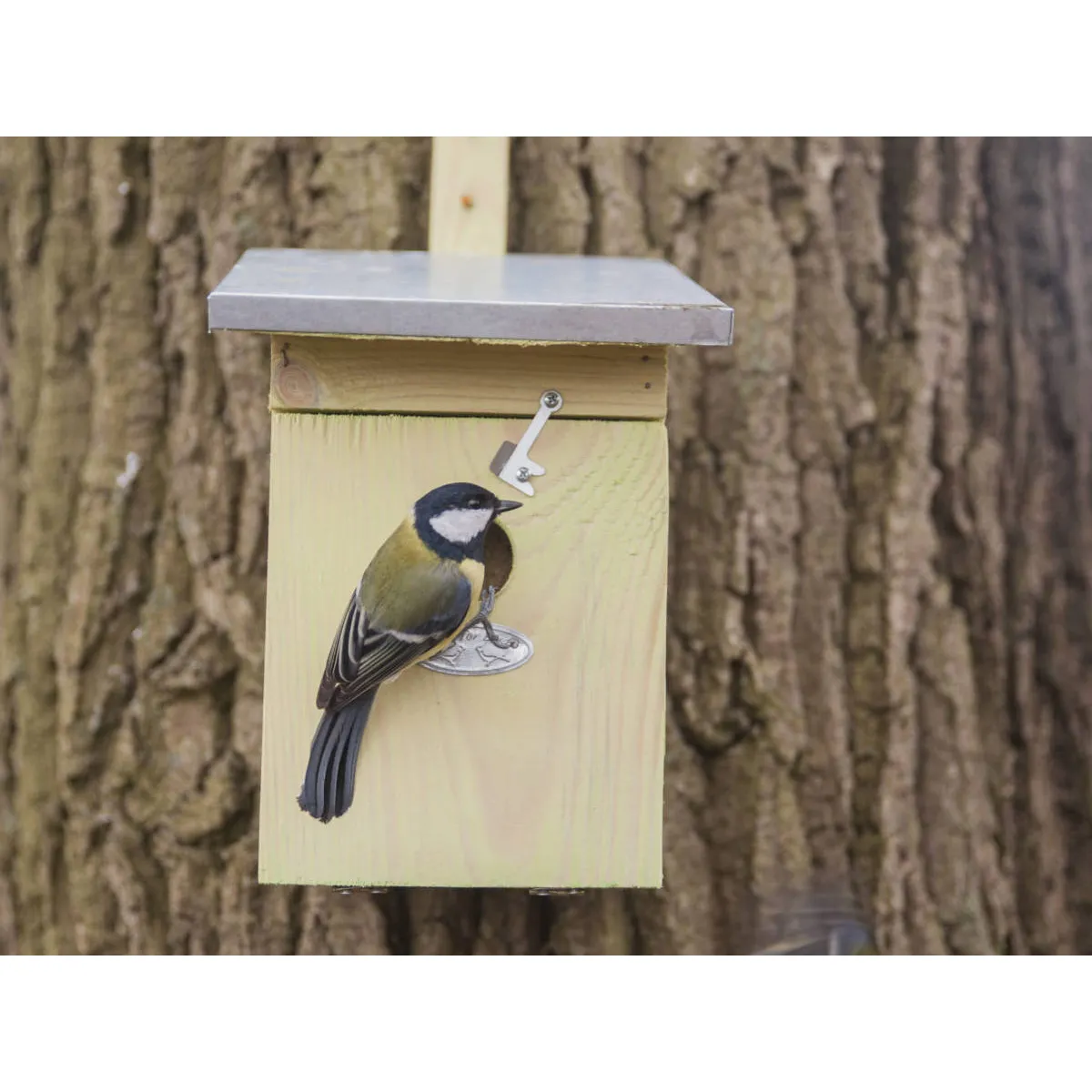 Nichoir pour oiseaux mésange charbonniere avec toit en zinc- Esschert Design