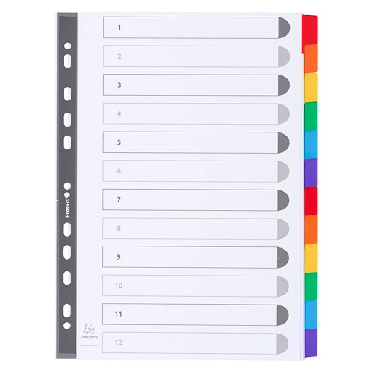 Intercalaire A4 carte160 g Exacompta 12 onglets neutres réinscriptibles multicolores - 1 jeu